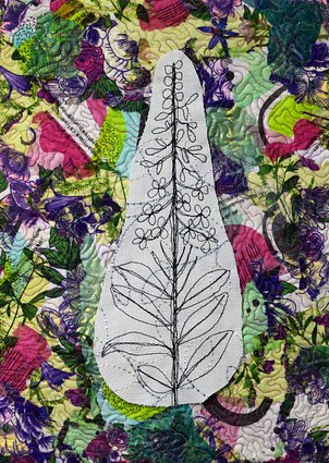 03_Johnson_Fireweed3